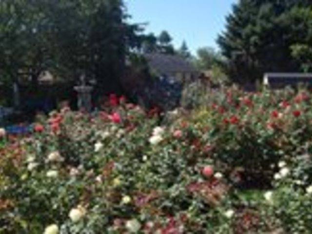 EVERGREEN QUALITY HOME